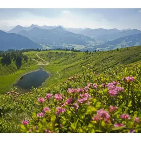 Alpine Comfortable