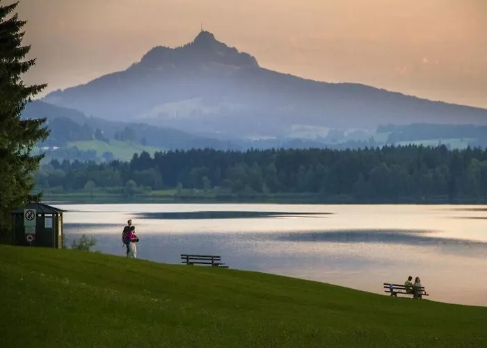 Alpine Comfortable *