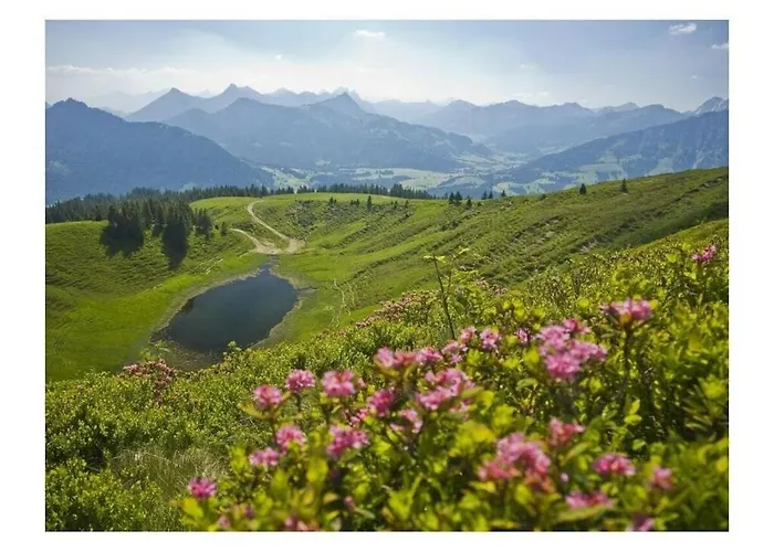 Alpine Comfortable