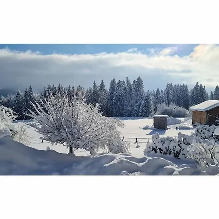 Holiday home Alpine Comfortable