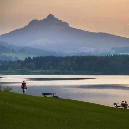Alpine Comfortable *