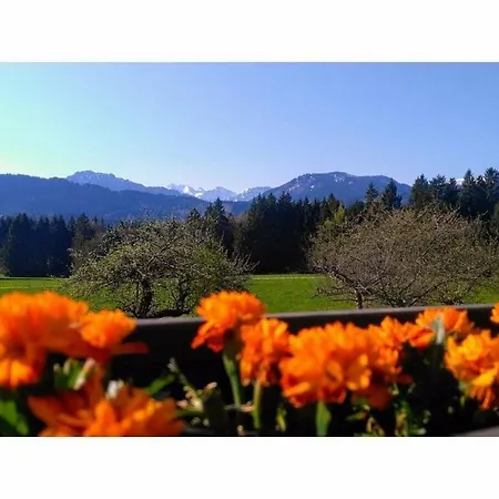 Holiday home Alpine Comfortable Wertach