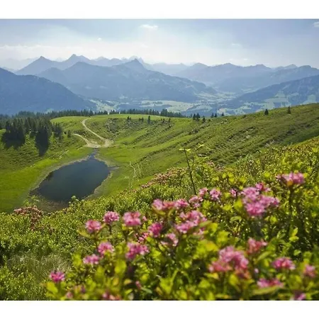 Alpine Comfortable