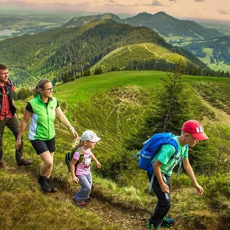 Alpine Comfortable فيرتاخ